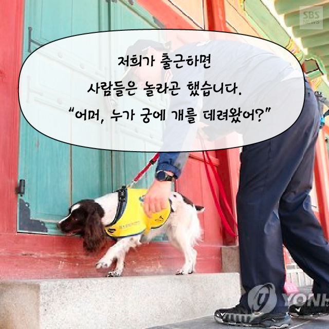 메인이미지  4 : 