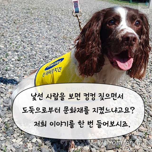 메인이미지  6 : 