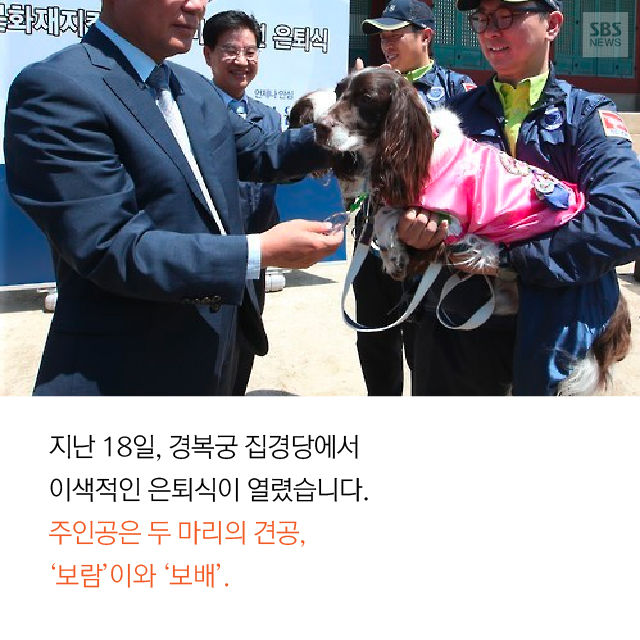 메인이미지  7 : 
