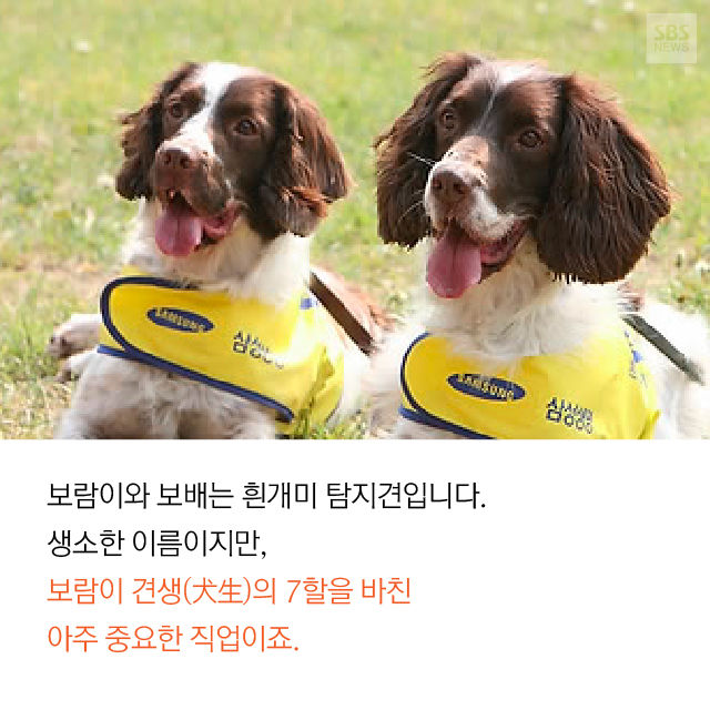 메인이미지  8 : 