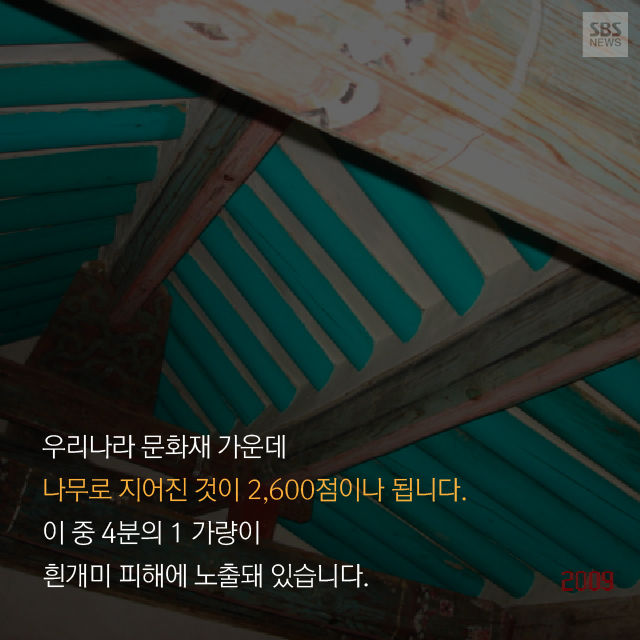 메인이미지  9 : 
