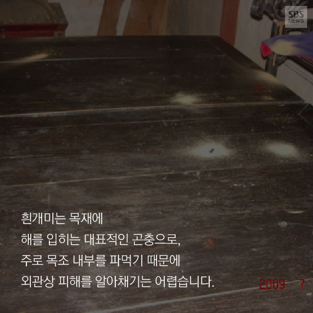 메인이미지  10 : 