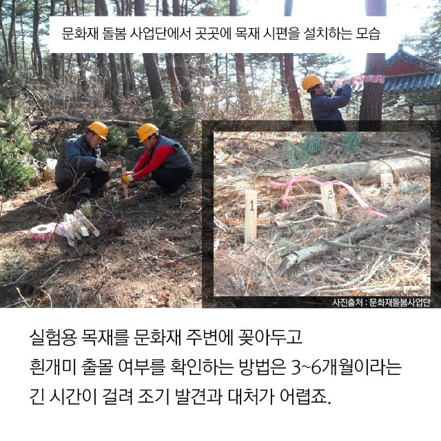 메인이미지  11 : 