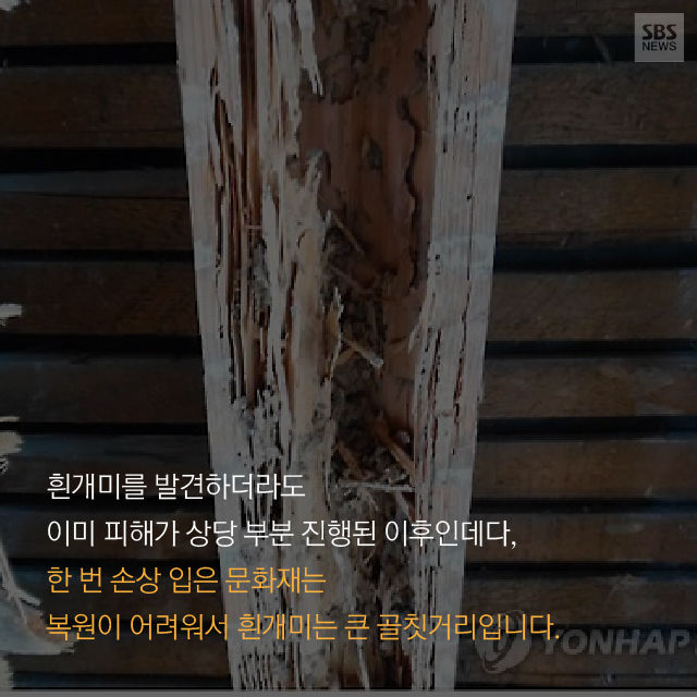 메인이미지  12 : 