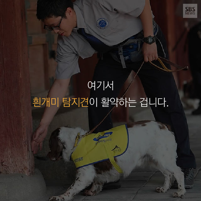 메인이미지  13 : 