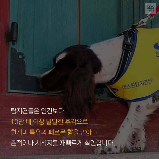 메인이미지  14 : 