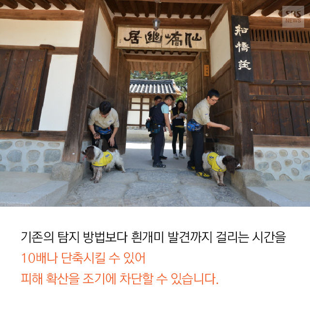 메인이미지  15 : 