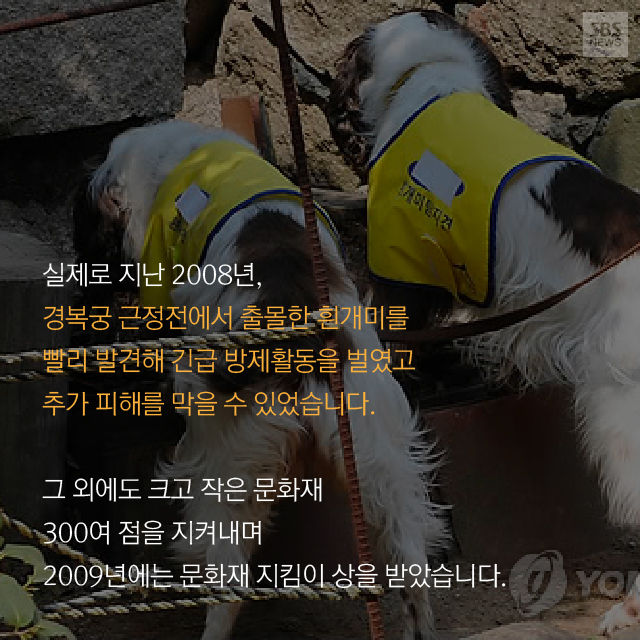 메인이미지  16 : 