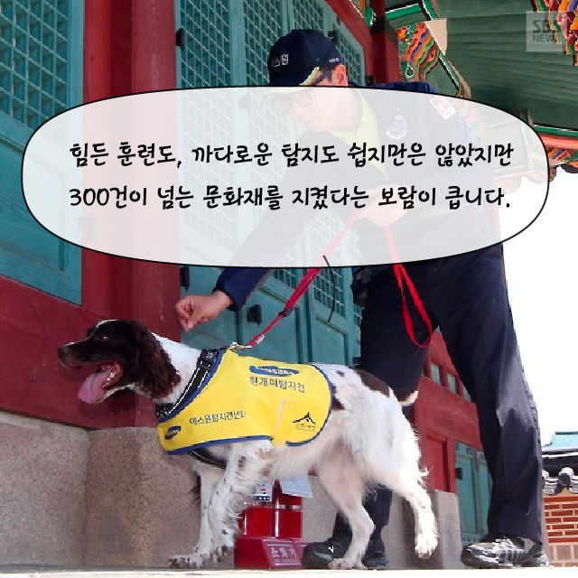 메인이미지  17 : 