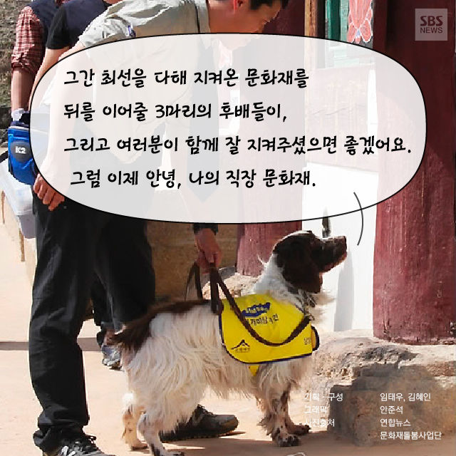 메인이미지  18 : 