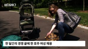 [비디오머그] "거북이 산책 시켜줄 사람!"&hellip;아르바이트 지원 봇물