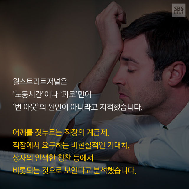 메인이미지  12 : 
