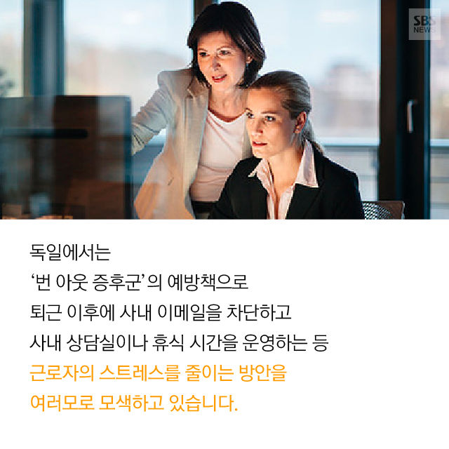 메인이미지  13 : 