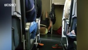 [비디오머그] 괴성&middot;몸부림&middot;유턴&hellip;미국 비행기 안에서 벌어진 '난동 회항'