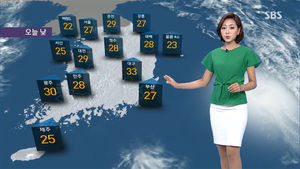 [날씨] 한여름 무더위 속 미세먼지&middot;오존 주의