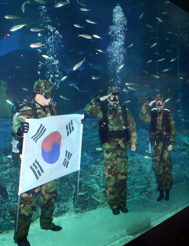 관련 사진