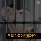 섬네일이미지  1: