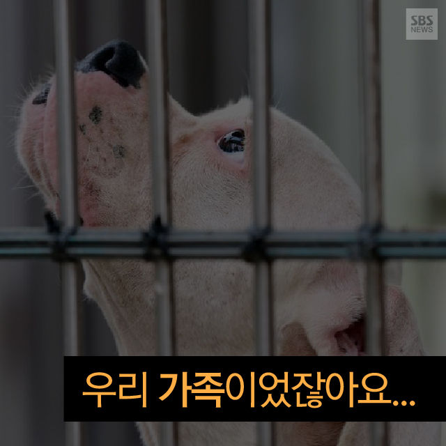 메인이미지  1 : 