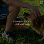 섬네일이미지  2:
