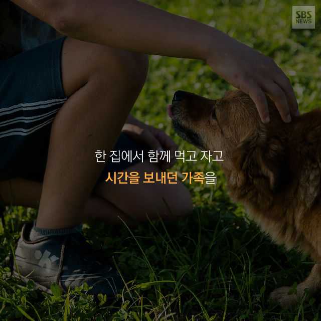 메인이미지  2 : 