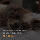 섬네일이미지  3: