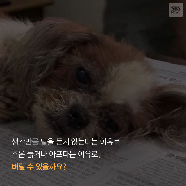 메인이미지  3 : 
