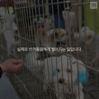 섬네일이미지  4: