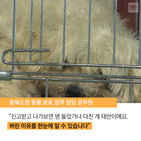 섬네일이미지  5: