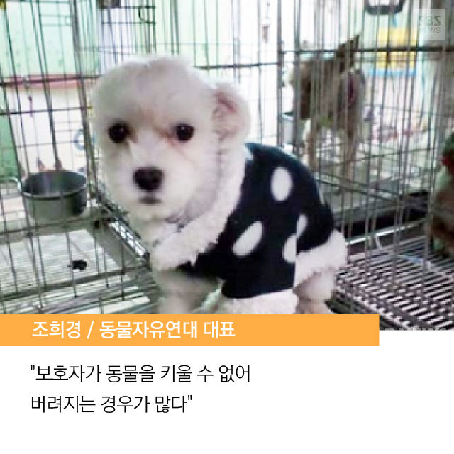 메인이미지  6 : 