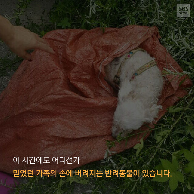 메인이미지  7 : 