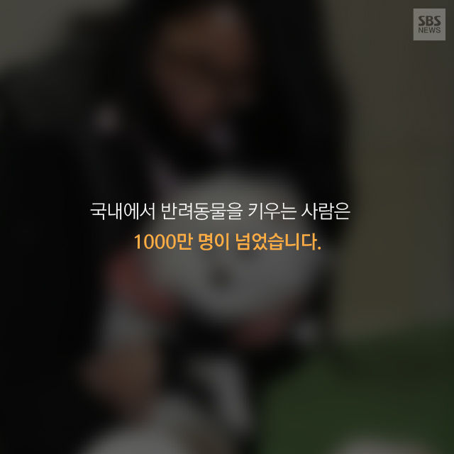메인이미지  8 : 