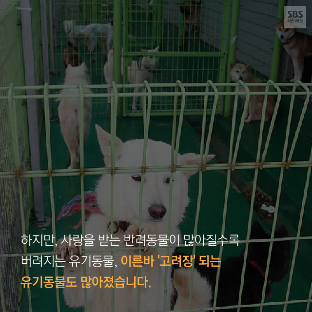 메인이미지  9 : 