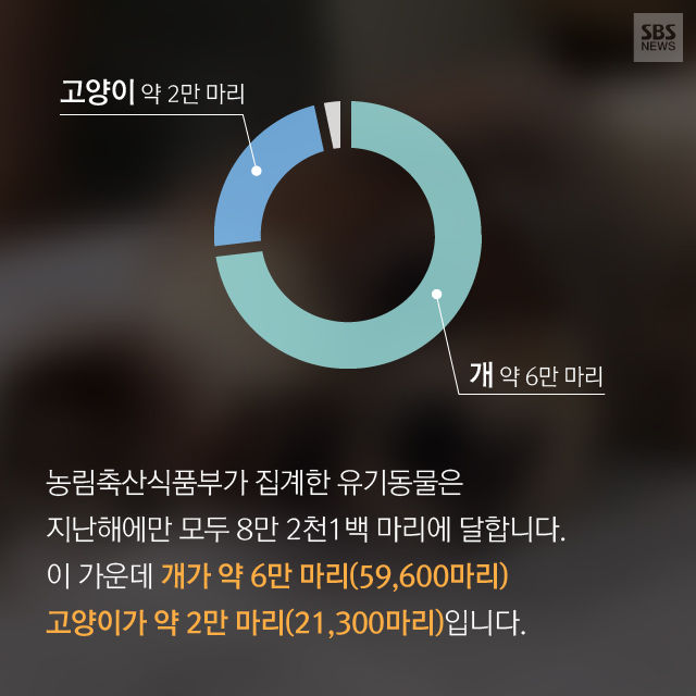 메인이미지  10 : 