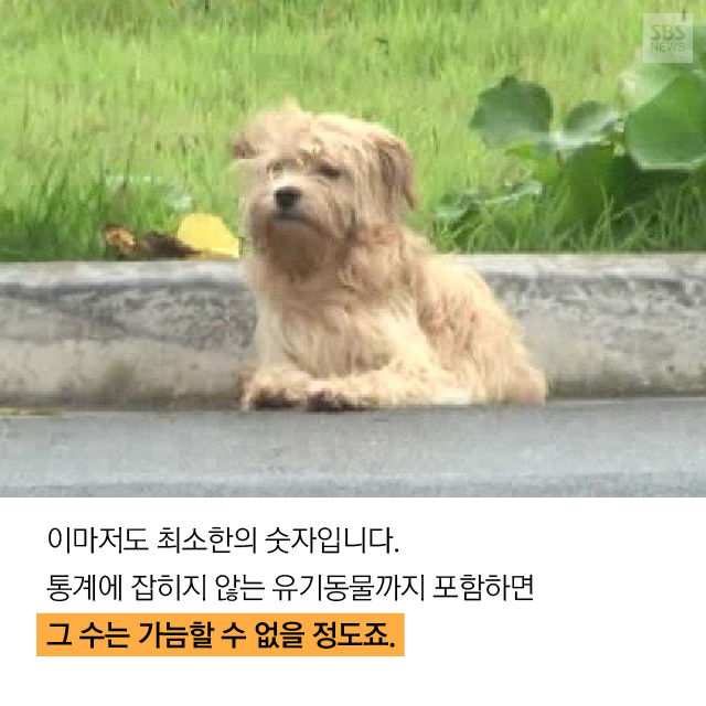 메인이미지  11 : 