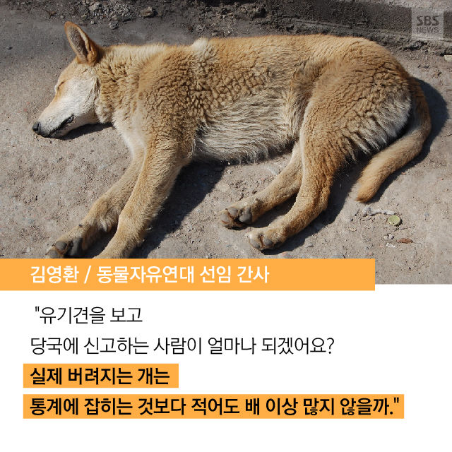 메인이미지  12 : 