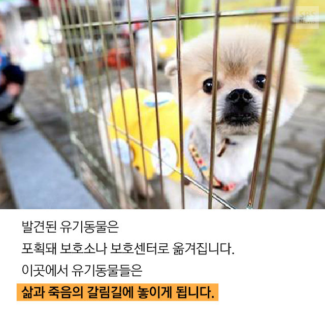 메인이미지  13 : 