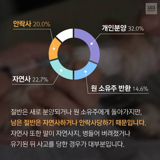 메인이미지  14 : 