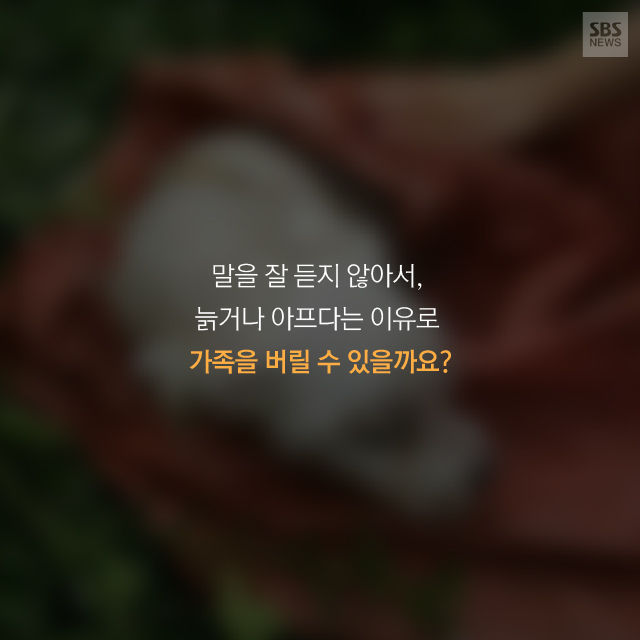 메인이미지  15 : 