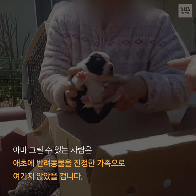 메인이미지  16 : 