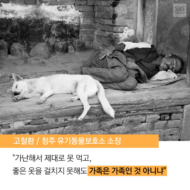 메인이미지  17 : 