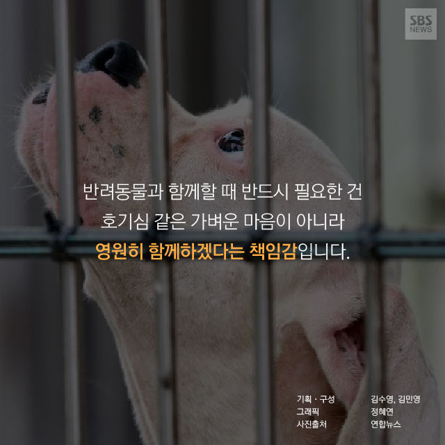 메인이미지  18 : 