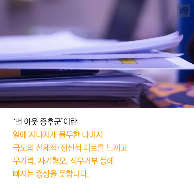 메인이미지  9 : 