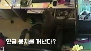 [비디오머그] 금은방 현금 훔친 간 큰 원숭이&hellip;황당한 절도