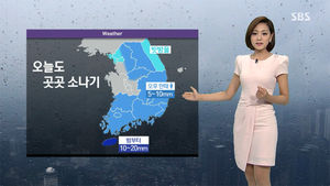 [날씨] 곳곳에 소나기&hellip;낮 동안 '후텁지근'