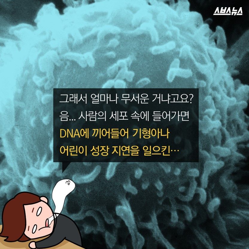 슬라이드 이미지 6