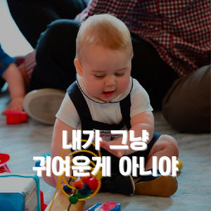 [카드뉴스] 살아남기 위해 귀여워졌다!