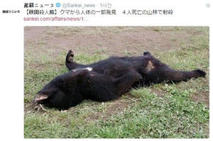 일본서 곰 습격에 4명 사망&hellip;곰 몸속에서 인체 발견