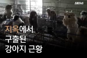 '강아지 공장'에서 구출된 강아지&hellip;되찾은 행복
