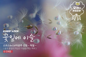 꽃잎이 머금은 이슬을 담는 사진 작가, 전혜영
