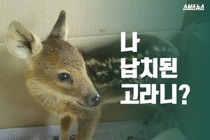 길 잃은 야생동물 '구조'?&hellip;"납치입니다"